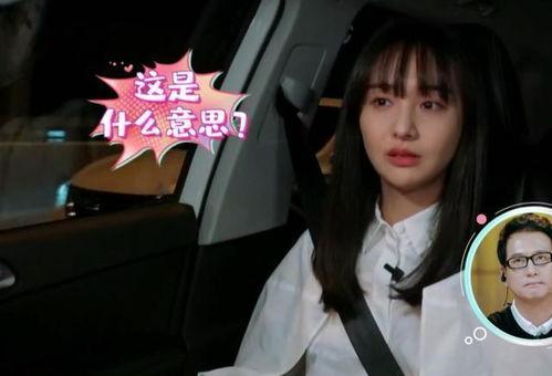 郑爽的爆料视频在线观看,揭秘娱乐圈内幕与个人情感纠葛  第2张